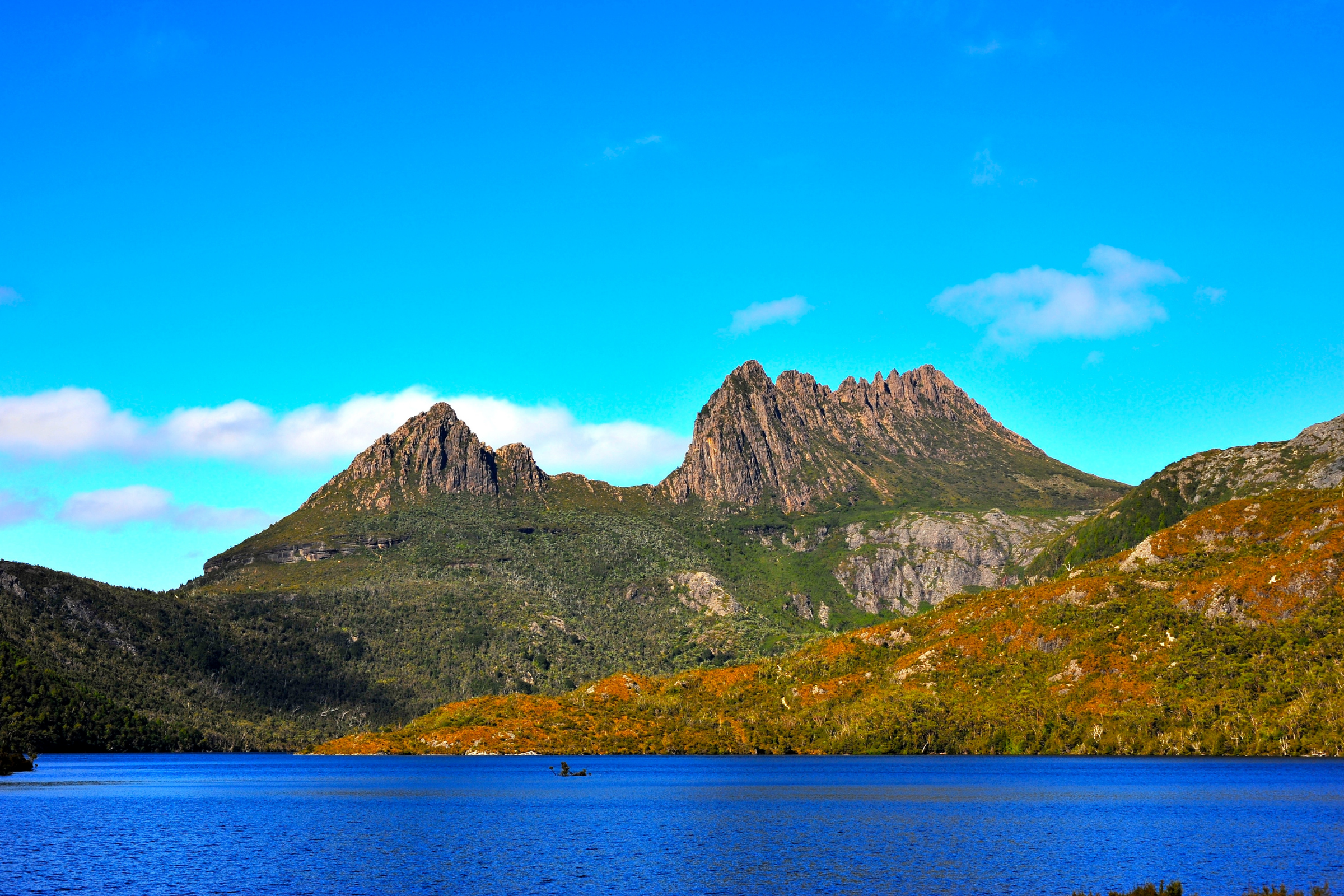 cradle mountain, tasmania (3).webp